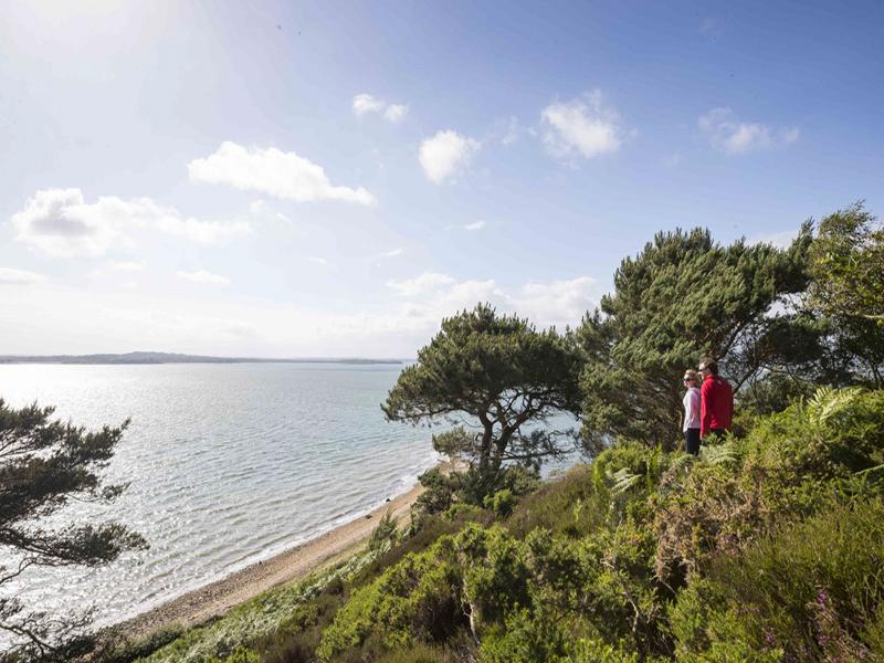 Enid Blyton Group Tour