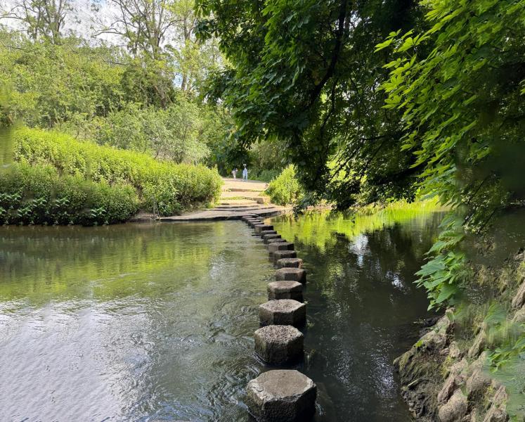 The Pilgrims' Way