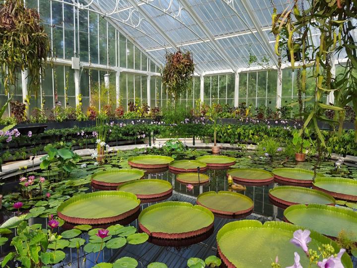 Royal Botanic Gardens Kew © RBG Kew/Zoe Stewart