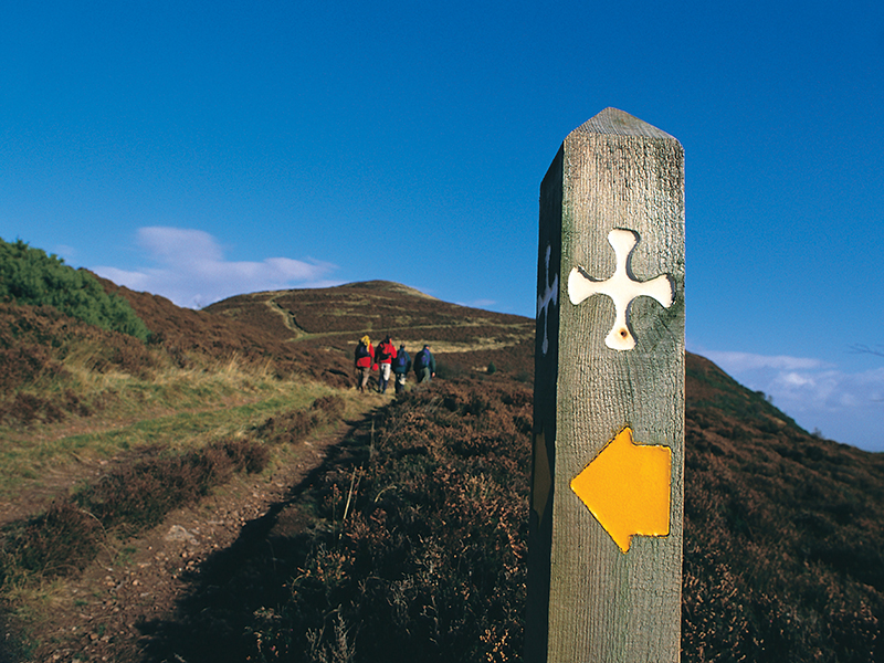 St Cuthbert's Way